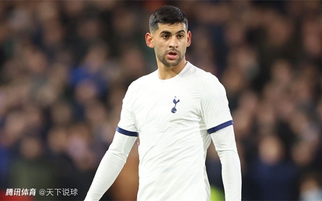 开云中国官网-布莱顿足球俱乐部官网